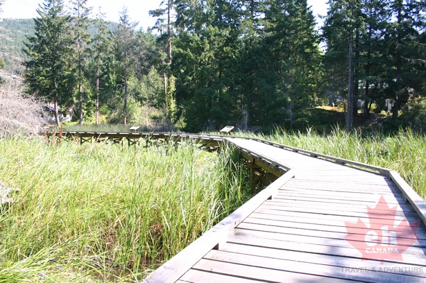 Boardwalk Trails