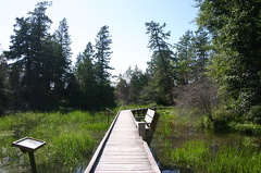 Boardwalk Trails