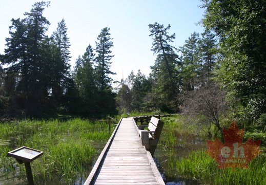 Iris Griffth Wetlands Park - display this album Iris Griffth Wetlands Park