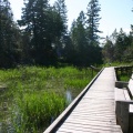 Viewing Bench