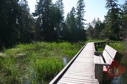 Viewing Bench