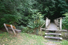 Viewing Bench