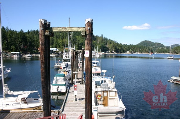 The Docks
