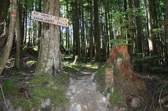 Sunshine Coast Trail