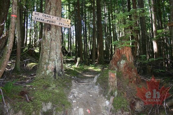 Sunshine Coast Trail