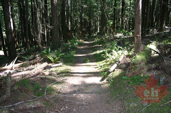 Sunshine Coast Trail