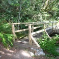 sunshine_coast_trail 004.jpg