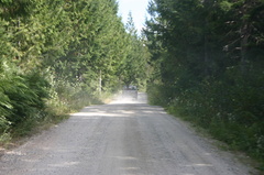 backcountry_logging_roads.jpg