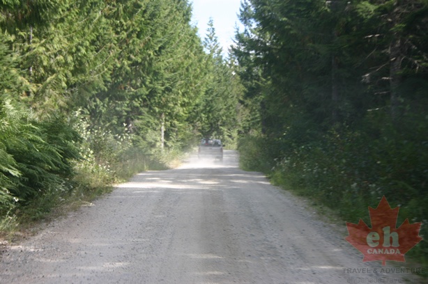 backcountry_logging_roads.jpg