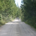 backcountry_logging_roads.jpg