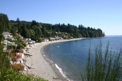 Selma Park View