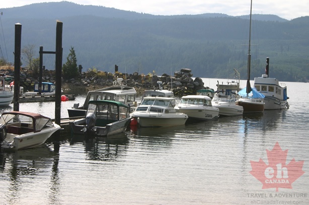tranquility_bay 001.jpg