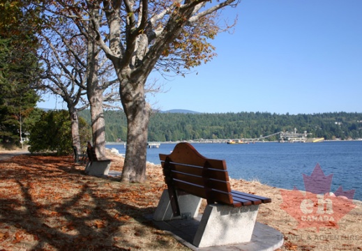 waterfront_beach 009.jpg
