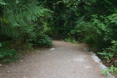 angus_creek_trial 002.jpg