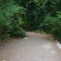 Angus Creek Trail