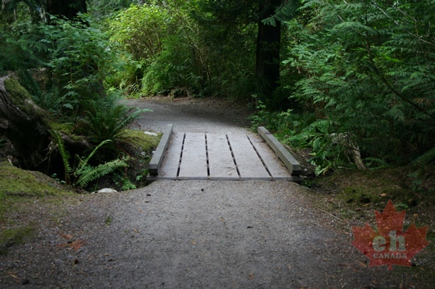 angus_creek_trial 003.jpg