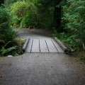 Angus Creek Trail