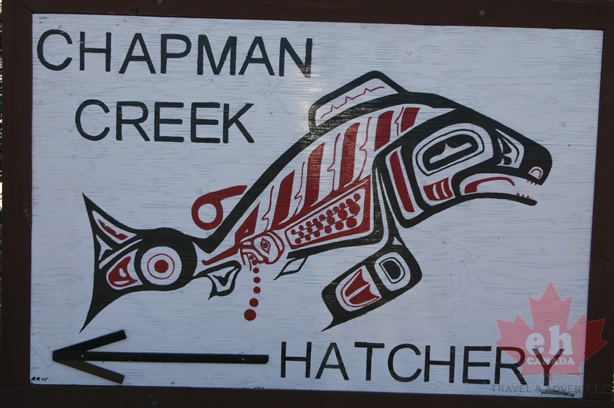 Chapman Creek Nature Trail