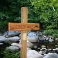 Chapman Creek Nature Trail