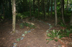Chapman Creek Nature Trail