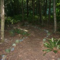 Chapman Creek Nature Trail