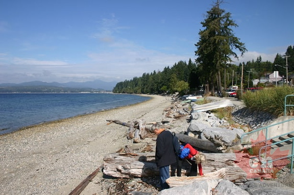 Davis Bay