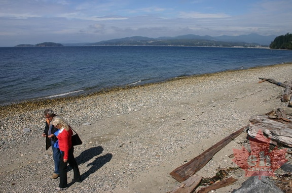 Davis Bay