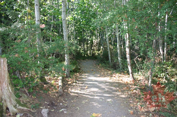 Kinnikinnick Park
