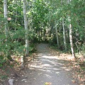 Kinnikinnick Park