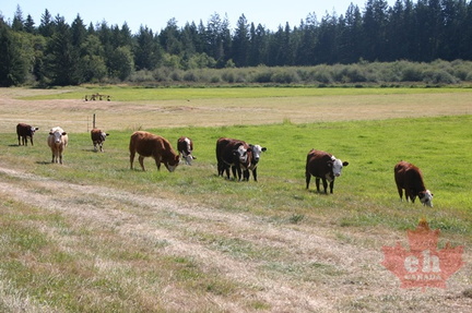 Farming