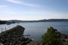Bearcovepark.jpg