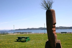 carrotpark 003.jpg