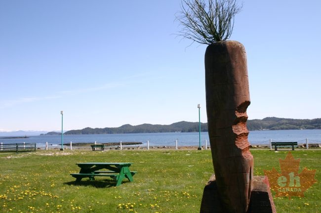 carrotpark 003.jpg