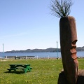 Carrot Park