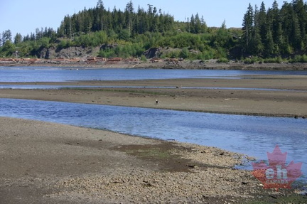 Low Tides