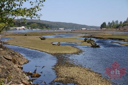 Marsh Lands