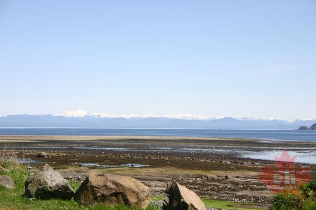 Waterfront at Low Tides