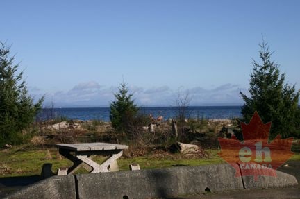 Picnic Table