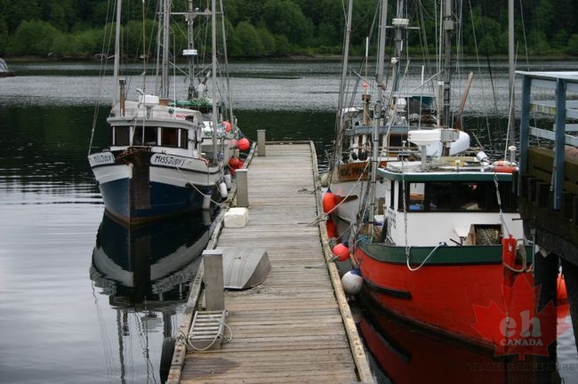 Fishing Boats