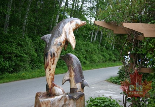 Dolphin Carving