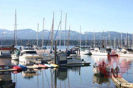 Boats at the Marina