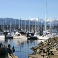 Sailboats
