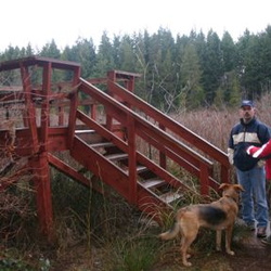 Seal Bay Nature Park