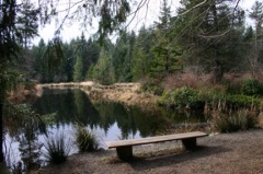 Viewing Bench
