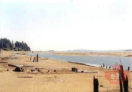 Estuary