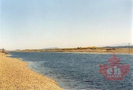 Estuary