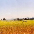 Farm Fields
