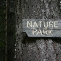 Tree Sign