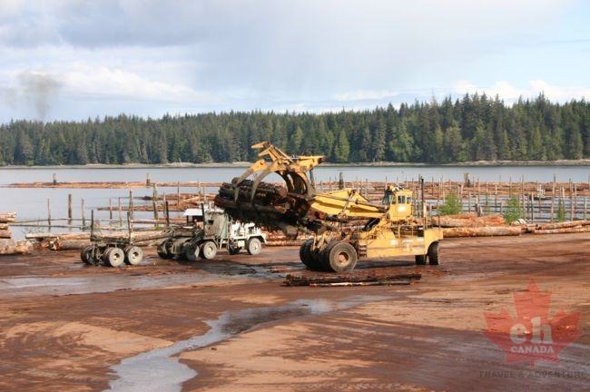 Log Sorting Mill