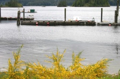 Local Docks